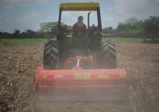 Trinciatrici Maschio Tornado 250