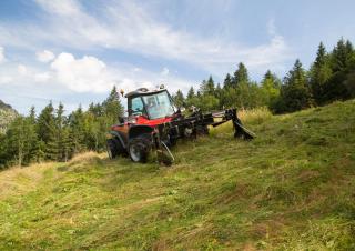 Veicoli Veicoli comunali multiuso diesel Aebi TT 211