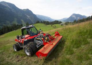 Veicoli Veicoli comunali multiuso diesel Aebi TT 241