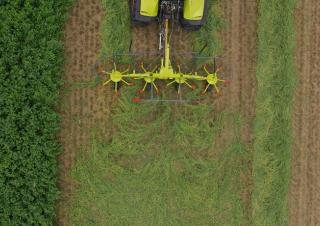 Voltafieni rotativi Claas Volto 55 TH