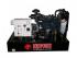 Generatori Generatori diesel Europower EP8DE (S)