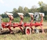 Aratri Unia Ibis LS 4+ 