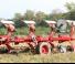 Aratri Unia Ibis LH 3+1