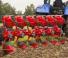 Unia Vis XL-S 7+1