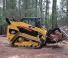 Minipale Caterpillar 289C