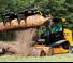Minipale JCB 300T
