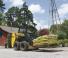Minipale New Holland L216
