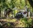 Minipale Bobcat MT100