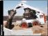 Minipale Bobcat S 150