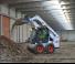 Minipale Bobcat S450