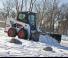 Minipale Bobcat S550