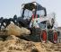 Minipale Bobcat S650