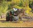 Minipale Bobcat S650