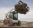 Minipale Bobcat S850