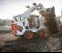 Minipale Bobcat S530