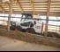 Minipale Bobcat S590