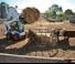 Minipale Bobcat S590