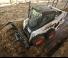 Minipale Bobcat S590