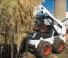 Minipale Bobcat S630