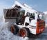 Minipale Bobcat S650