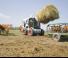 Minipale Bobcat S770