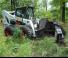 Minipale Bobcat S850