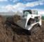 Minipale Bobcat T110