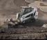 Minipale Bobcat T590