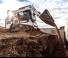Minipale Bobcat T 590