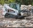 Minipale Bobcat T590