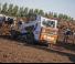 Minipale Bobcat T590