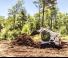 Minipale Bobcat T770