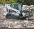 Minipale Bobcat T590