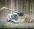 Minipale Bobcat T590