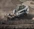 Minipale Bobcat T590