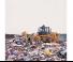 Compattatori per discariche Caterpillar 816 F