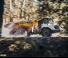 Dumperini articolati Liebherr TA 230 Litronic