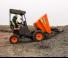 Dumpers a Ruote Ausa D 175 RMS