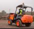 Dumpers a Ruote Ausa D 201 RHS