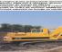 Caterpillar 219