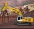 Escavatori cingolati Liebherr R 954 C Litronic