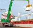 Movimentatori di materiali Sennebogen 875M E Hybrid  