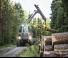 Macchine forestali Forwarder Ponsse Bison