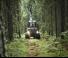 Macchine forestali Forwarder Ponsse Bison
