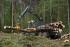 Macchine forestali Forwarder Ponsse Buffalo