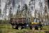 Macchine forestali Forwarder Ponsse Elephant