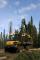 Macchine forestali Forwarder Ponsse Elk