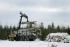 Macchine forestali Forwarder Ponsse Elk