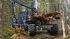Macchine forestali Forwarder Rottne F 13 C
