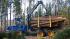Macchine forestali Forwarder Rottne F 15 C